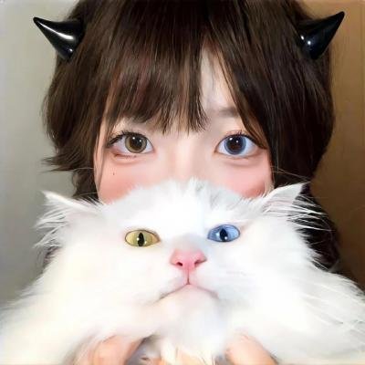 不老宝藏「猜、情、寻」